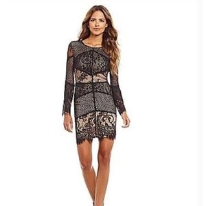 New with tags Gianni Bini Dara lace dress | size 8